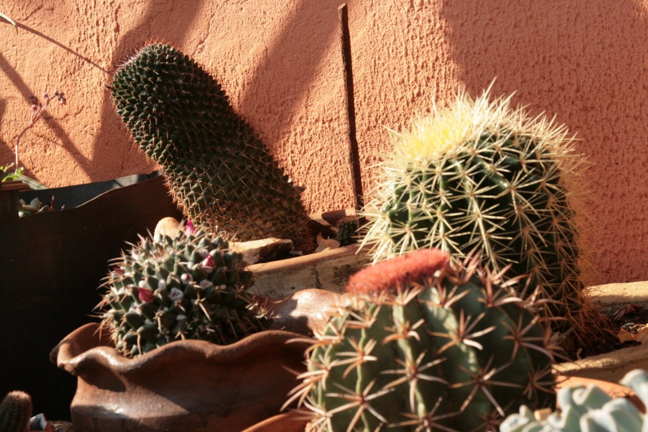Chácara Nova Esperança
